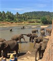 Shri Lanka 6.jpg